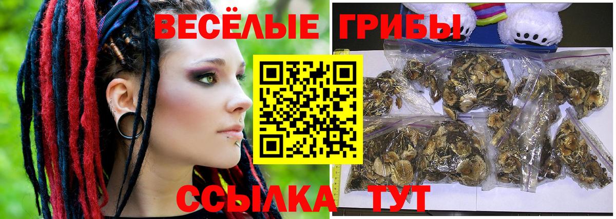Галлюциногенные грибы Cubensis  Вход с VPN  Владивосток 